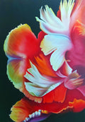 A Journey into Nature 1