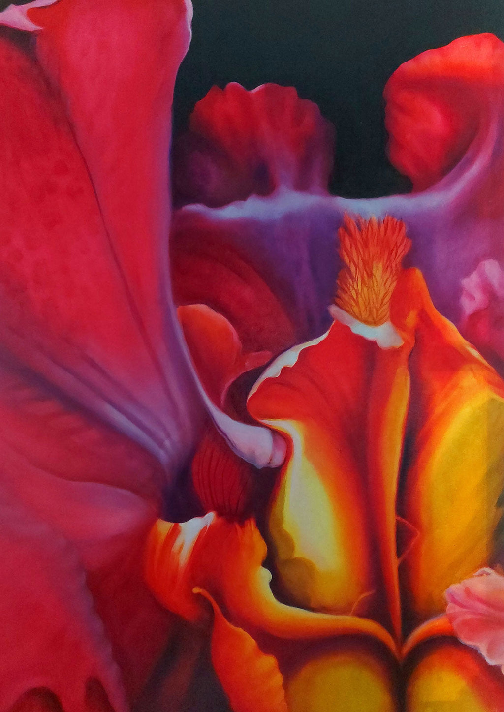 A Journey into Nature 3