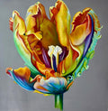 Tulip No. 8