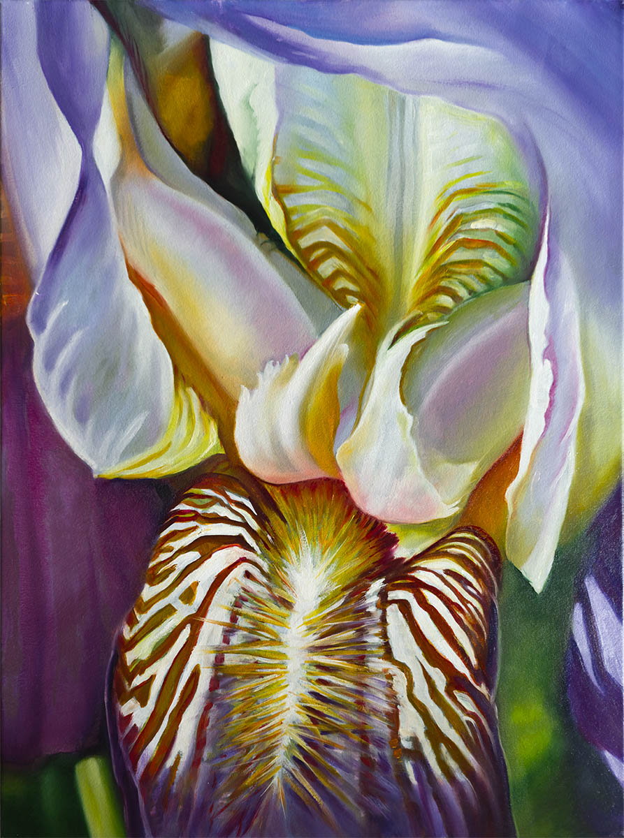 Iris