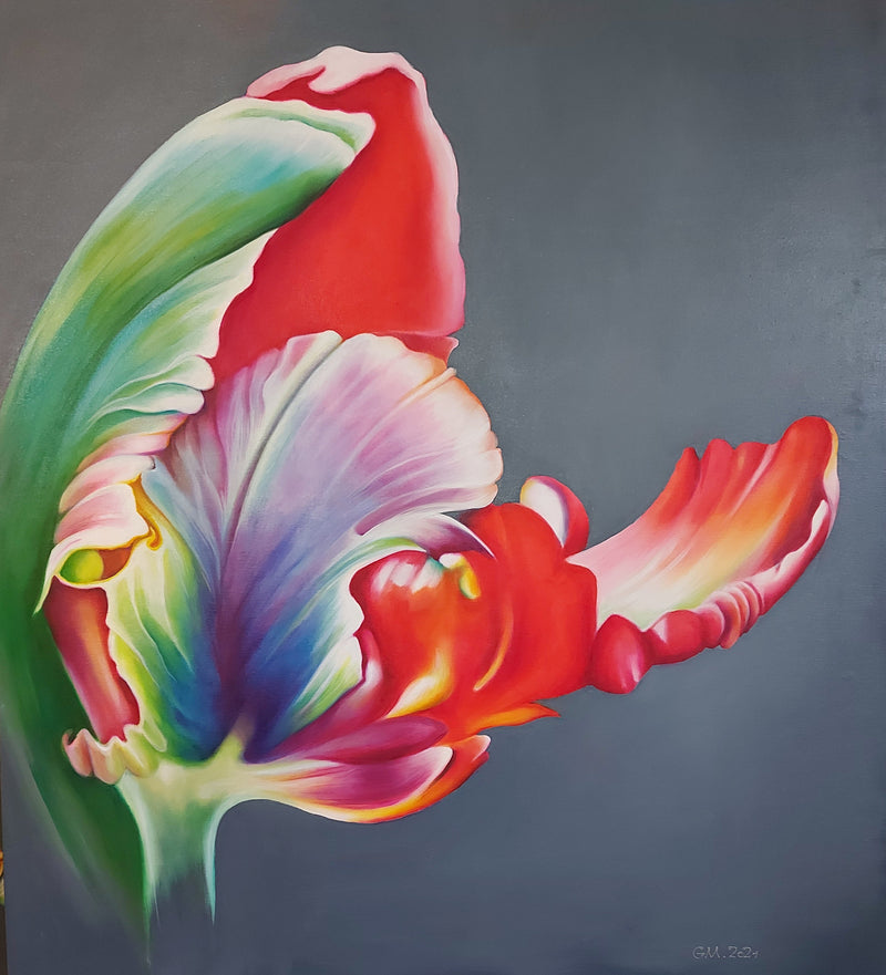 Tulpe Nr. 5