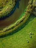 Polder Green