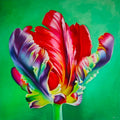 Tulpe I