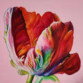 Tulpe IV