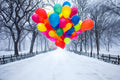 Winter Whimsy