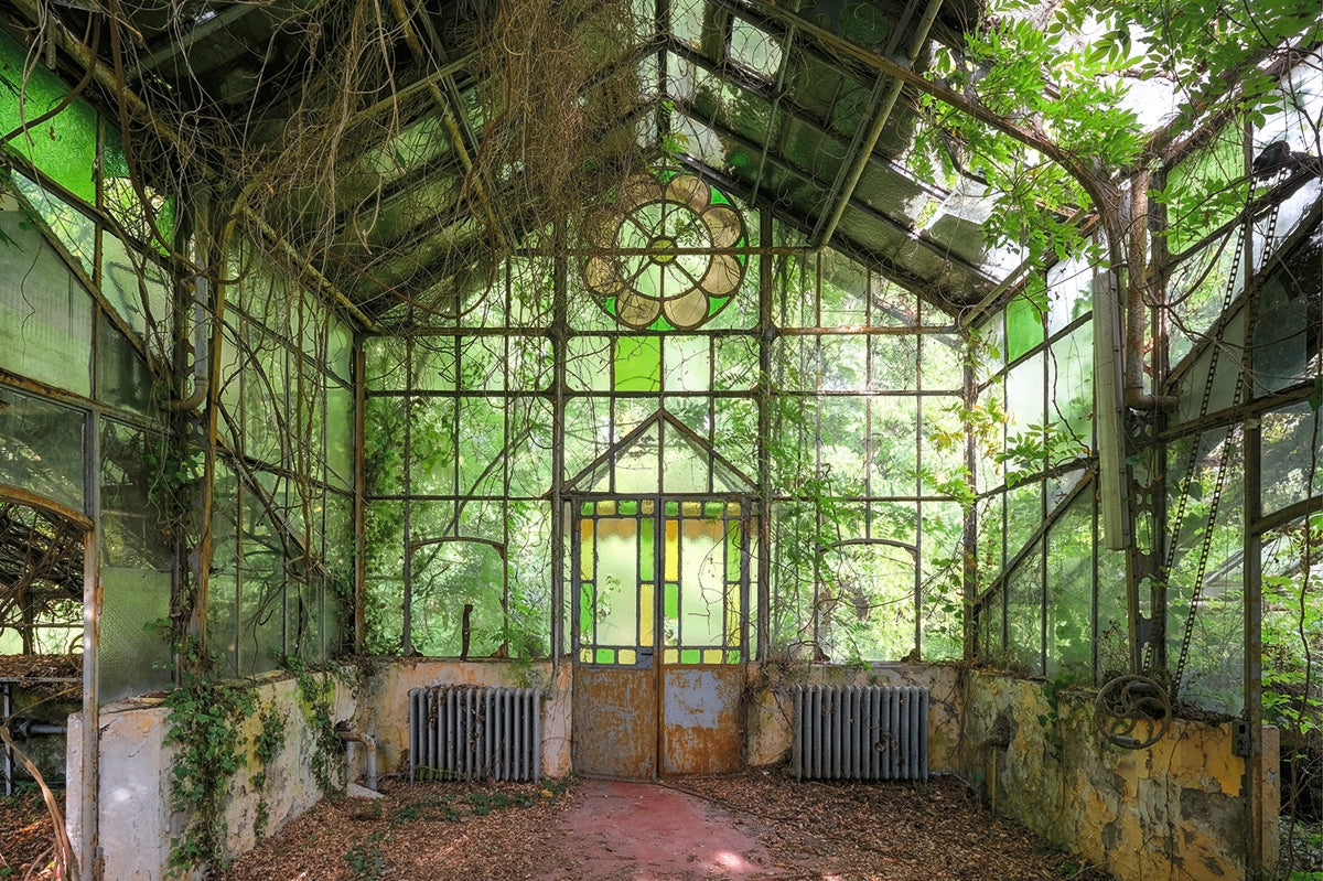 Das Gewächshaus